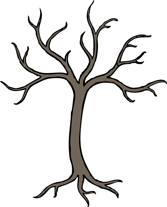 barren tree