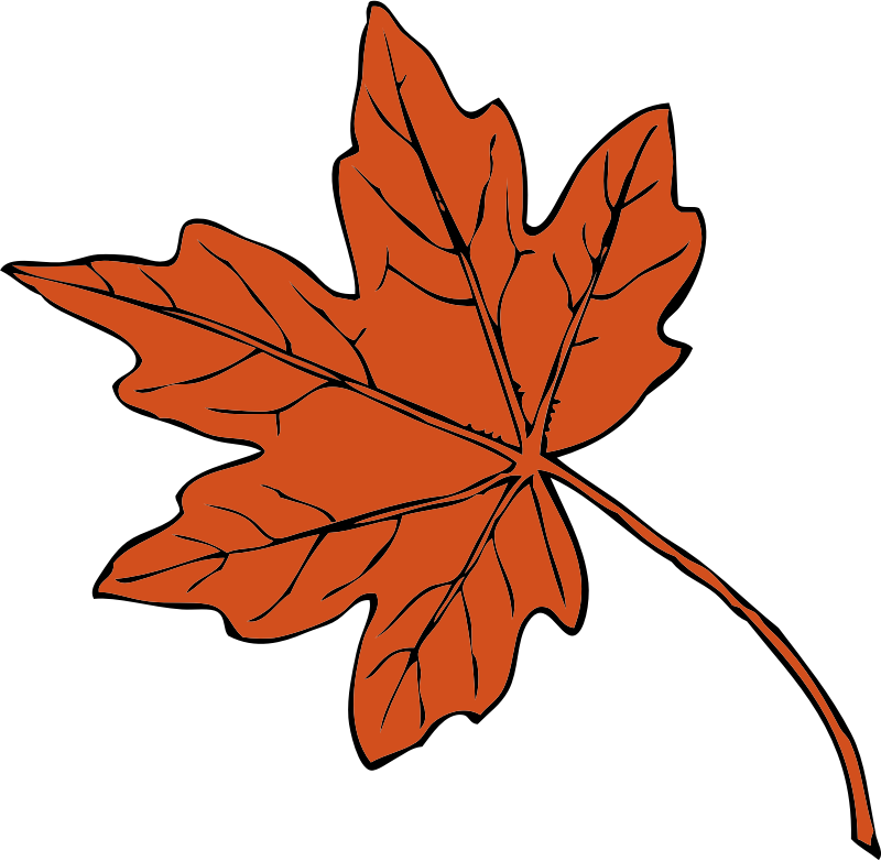 maple leaf