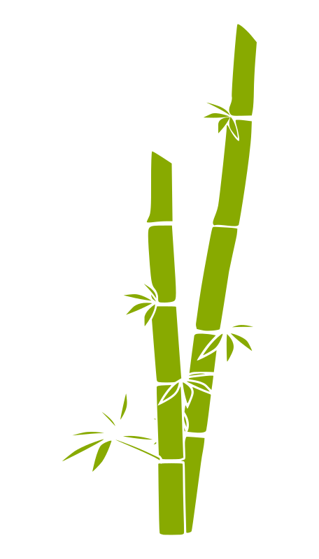 bamboo