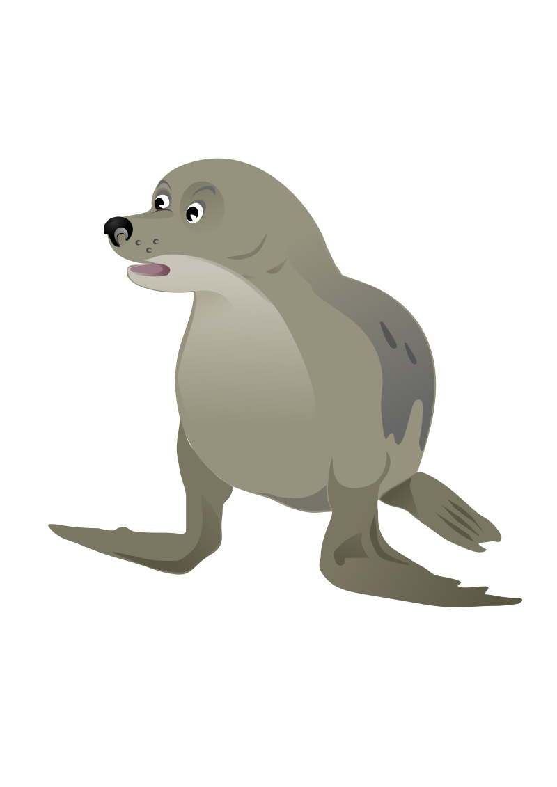 Grey Seal