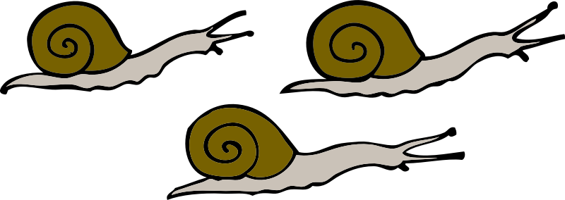 3 snails