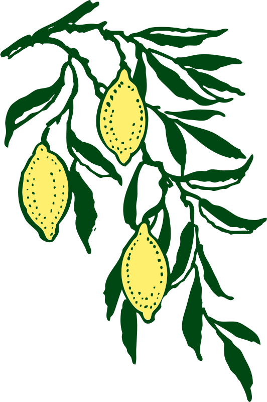 lemon branch