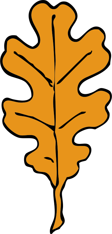 oak leaf