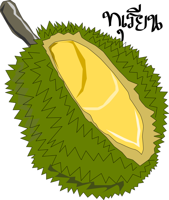 Durian,Thai Fruit