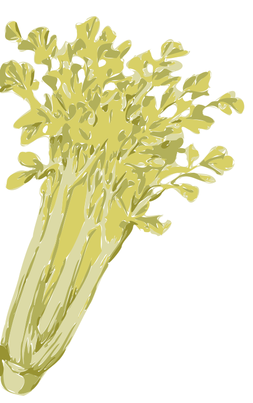 celery