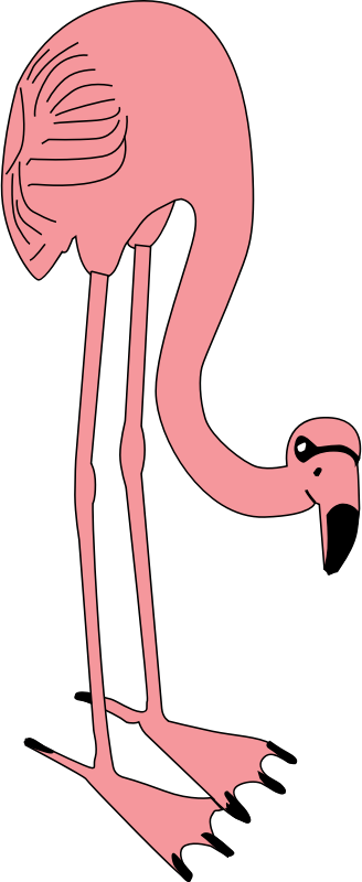 flamingo