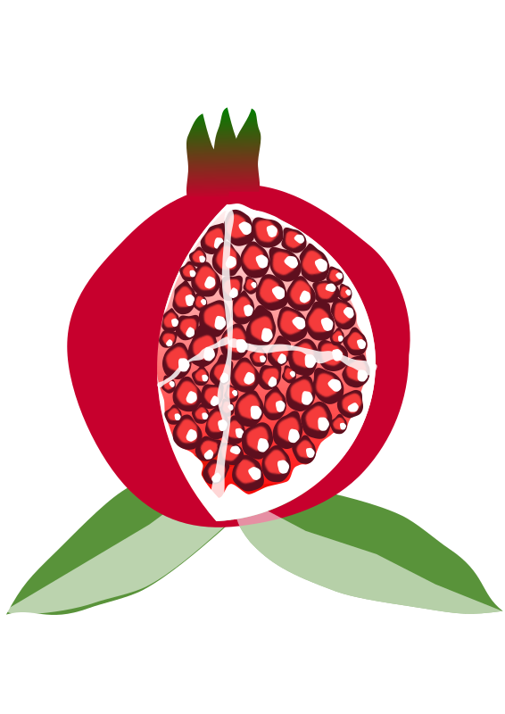 pomegranate fruit