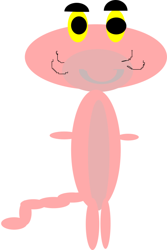 pink panthar