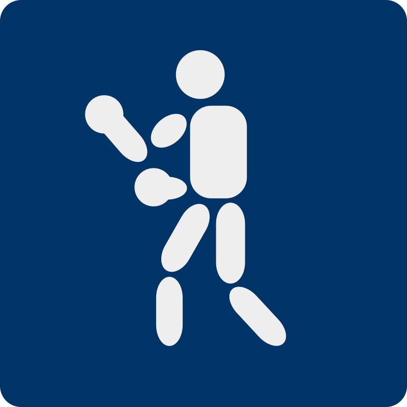 boxing pictogram