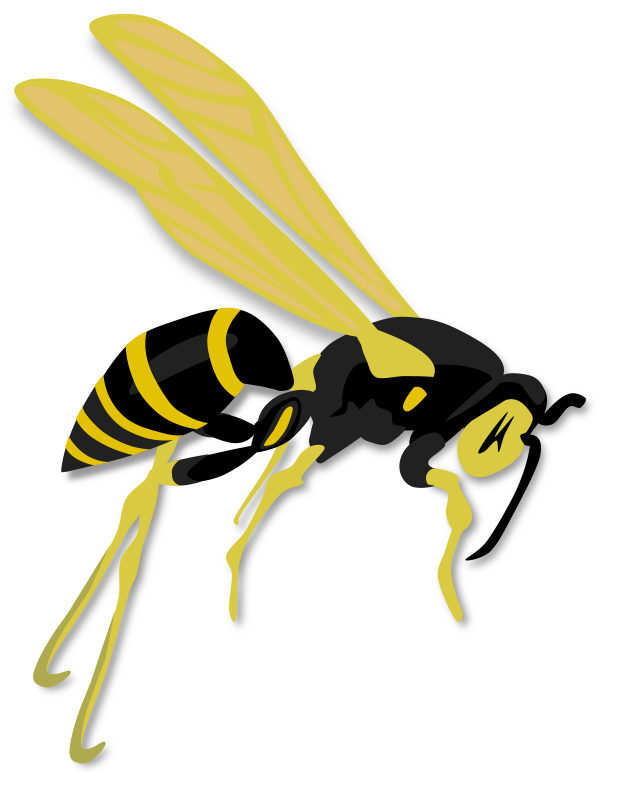 Flying wasp