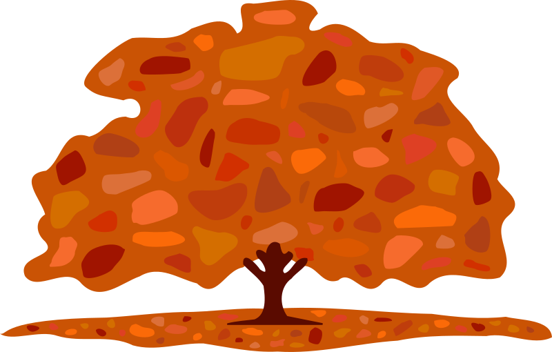 Autumn tree