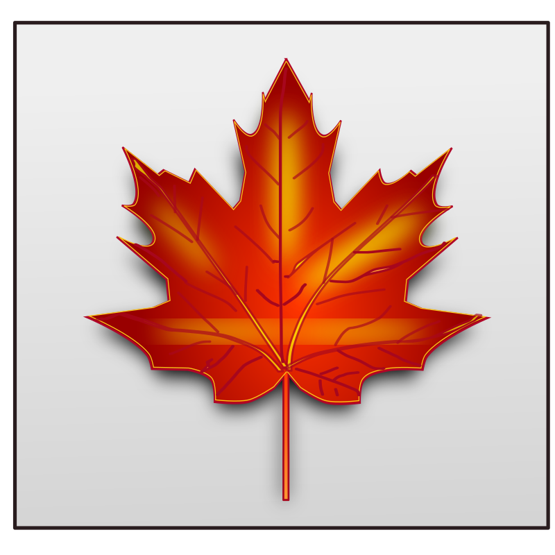 maple leaf