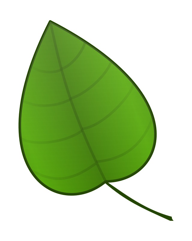 Leaf