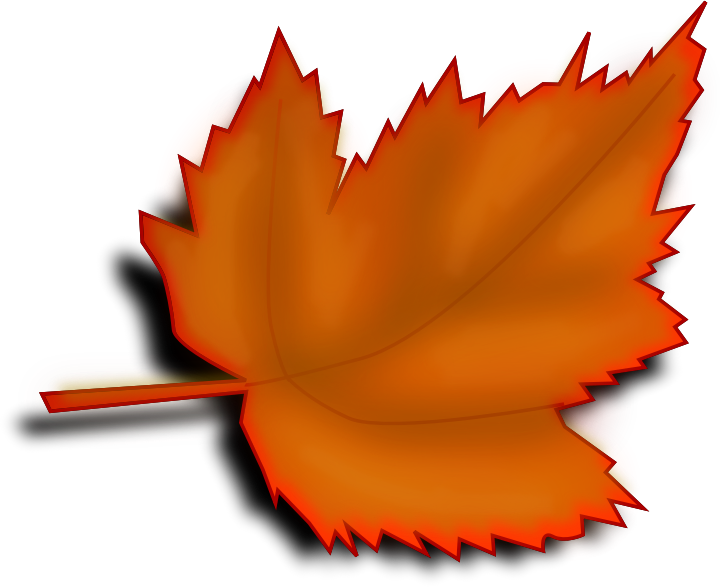 Leaf 3a