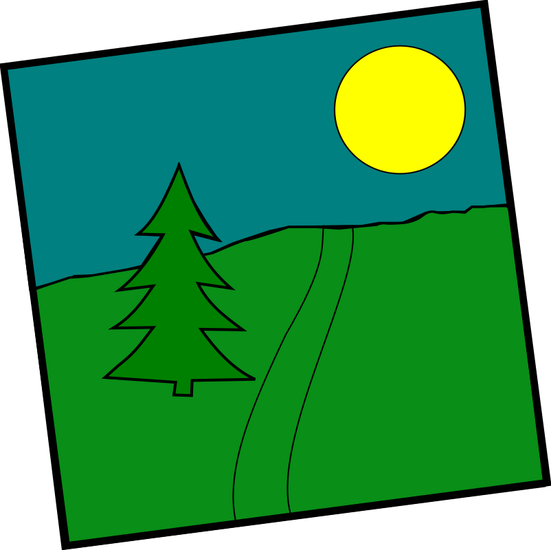 Landscape With A Picea