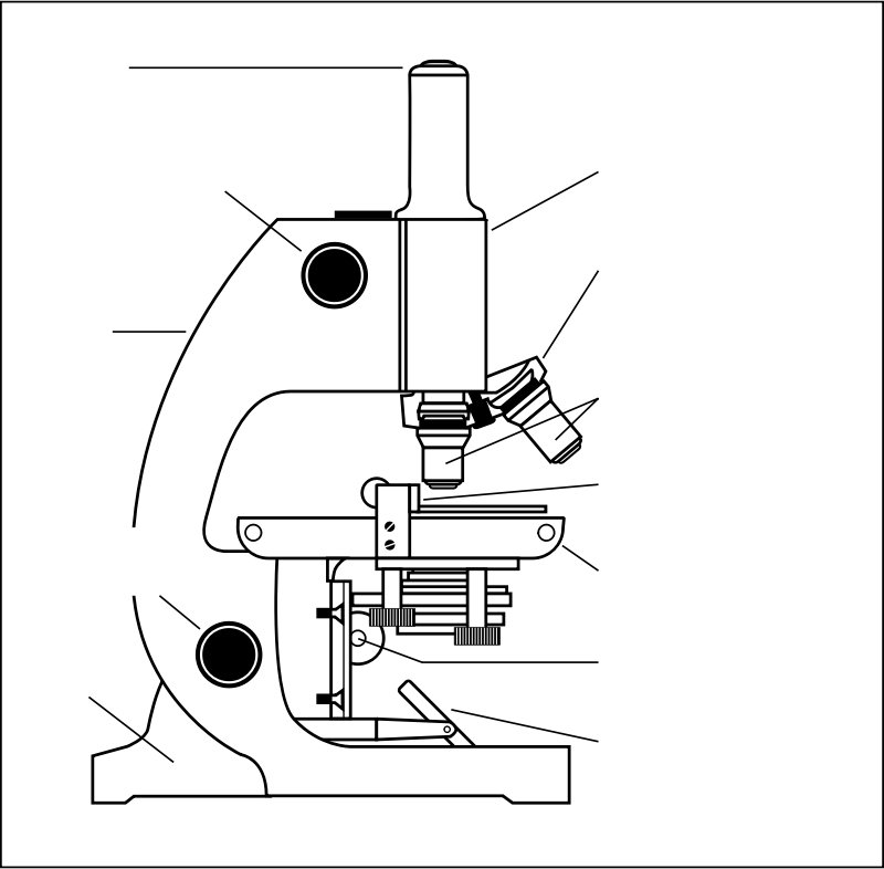 microscope with labels - Openclipart