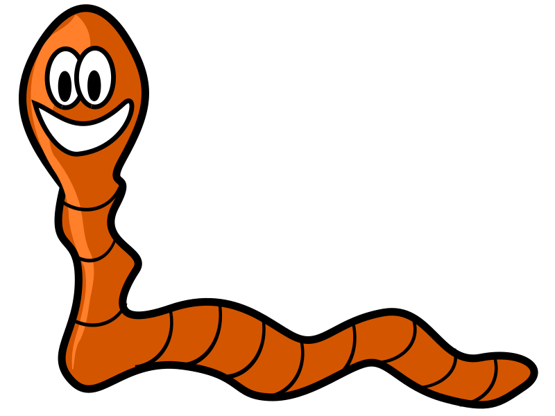 Worm