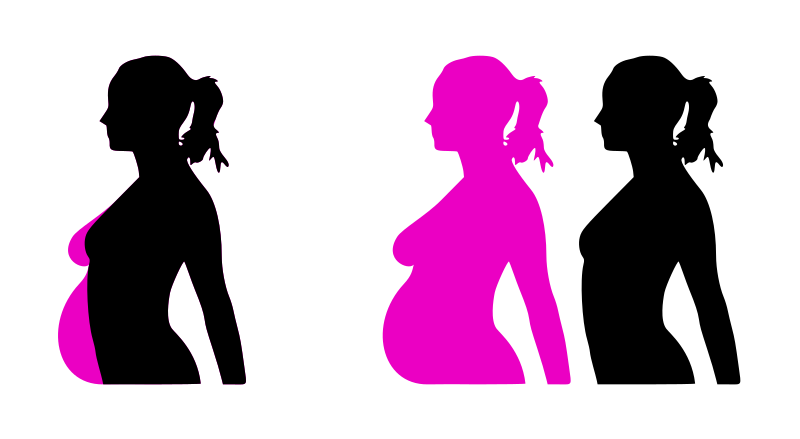 pregnancy silhouet