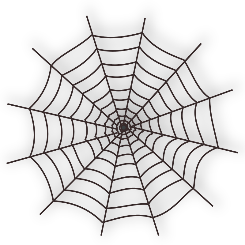 Halloween Spider Web Icon