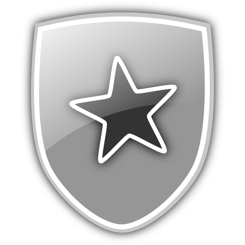 Shield Icon