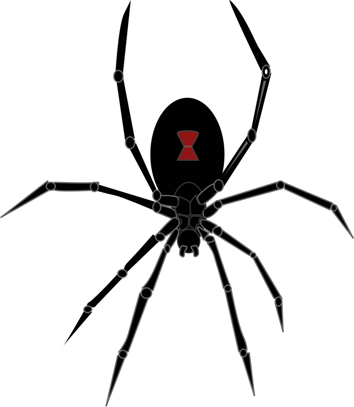 Black Widow Spider Openclipart