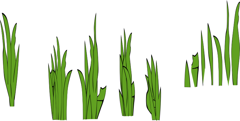 Grass Blades and Clumps