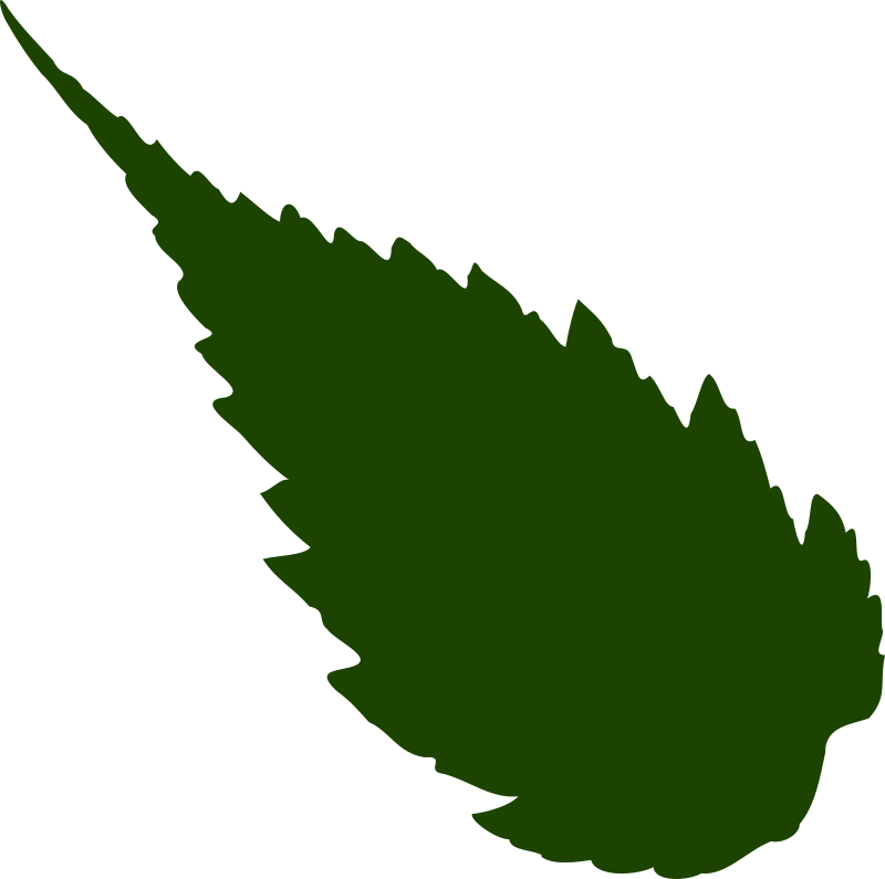 leaf 05