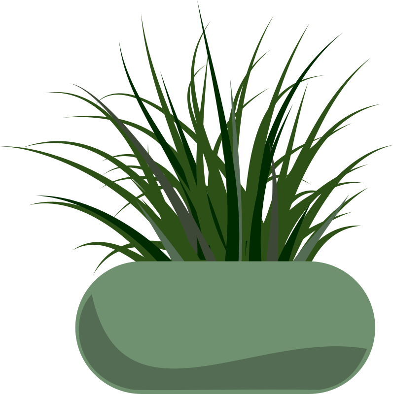 Potted Grass