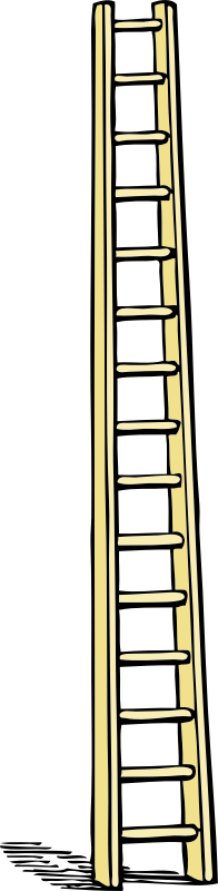 tall ladder