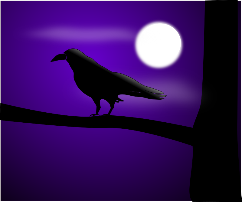 raven illustration