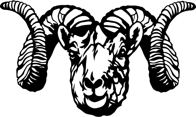 Dall Sheep Ram (stylized)