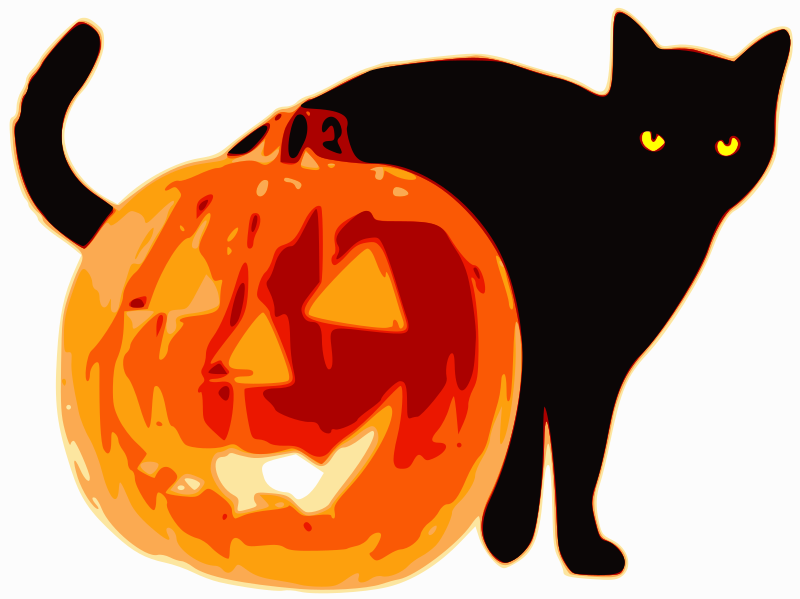 Cat and Jack-O-Lantern