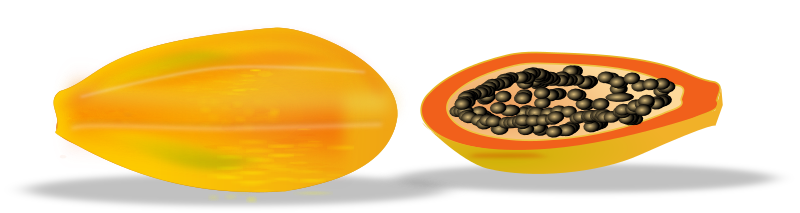 papaya sliced