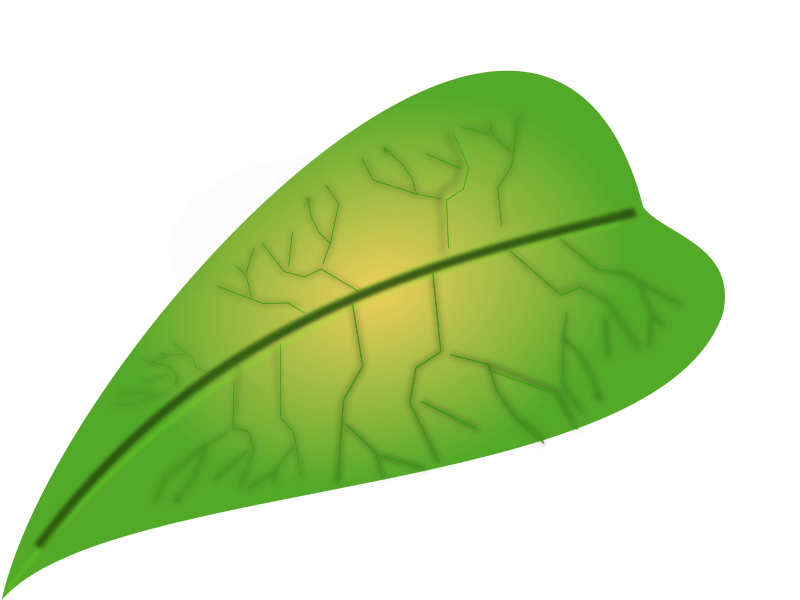 green leaf