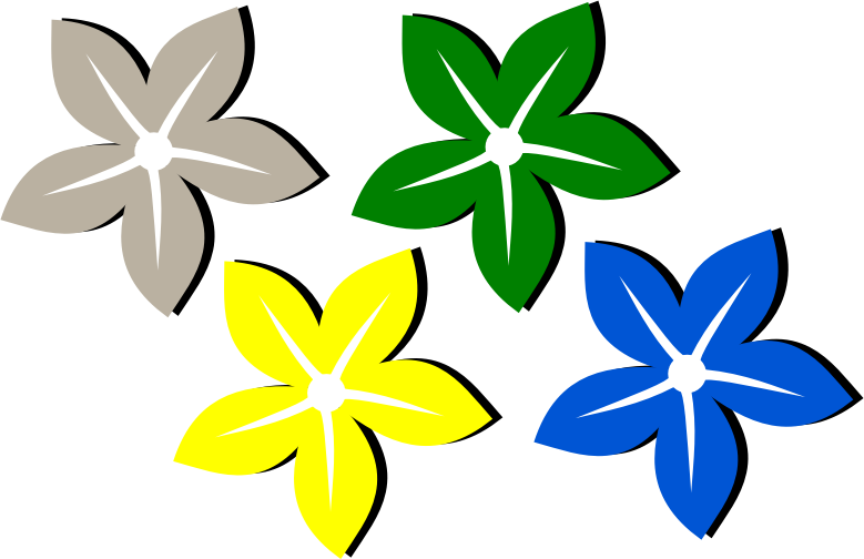 Flower - Flor