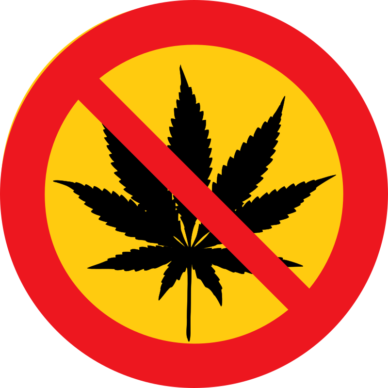 No cannabis