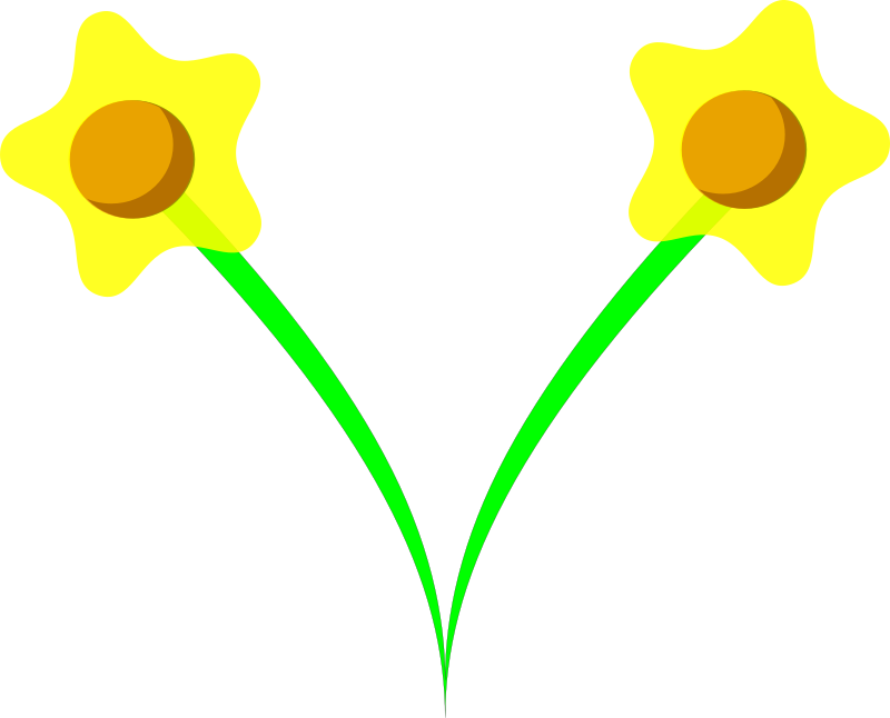 daffodil