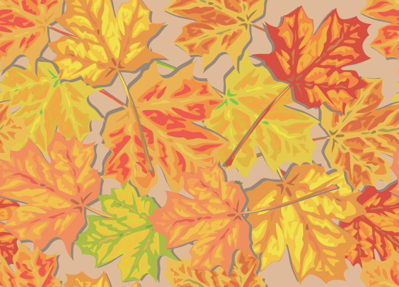 Fall Leaves