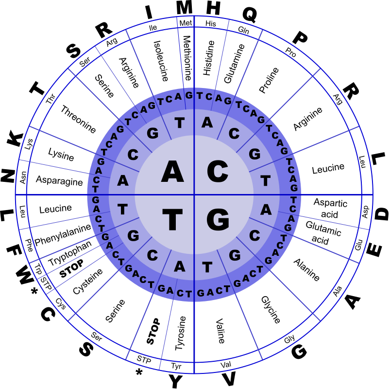 Genetic Code