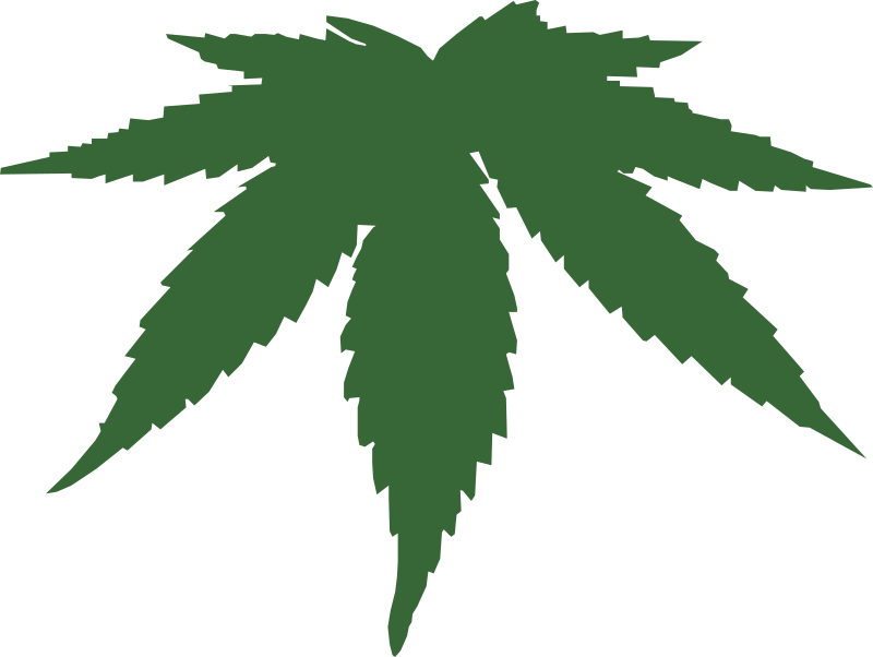 cannabis leaf