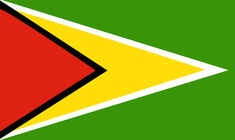 Flag of Guyana