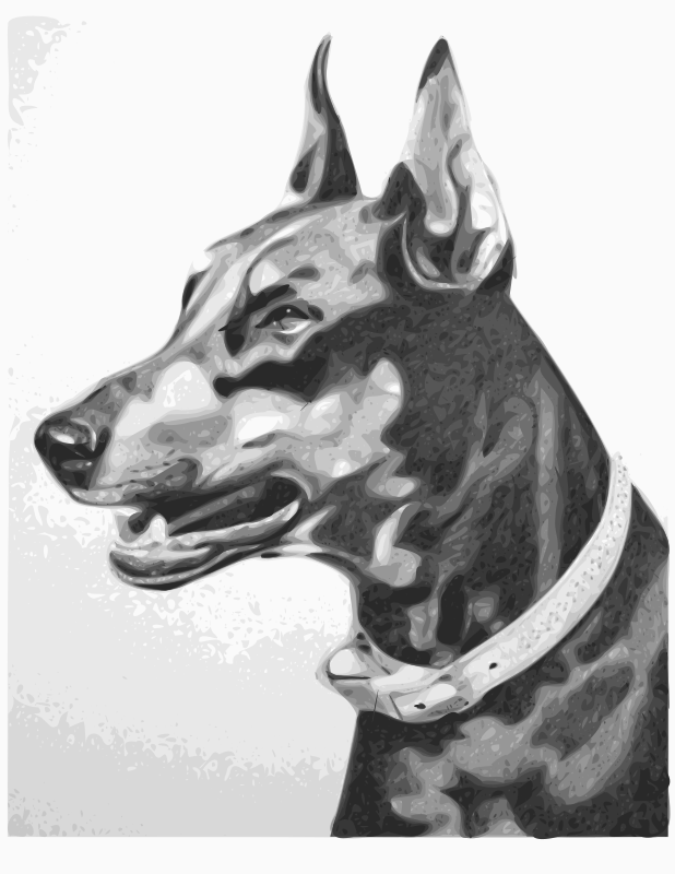 portrait of dog