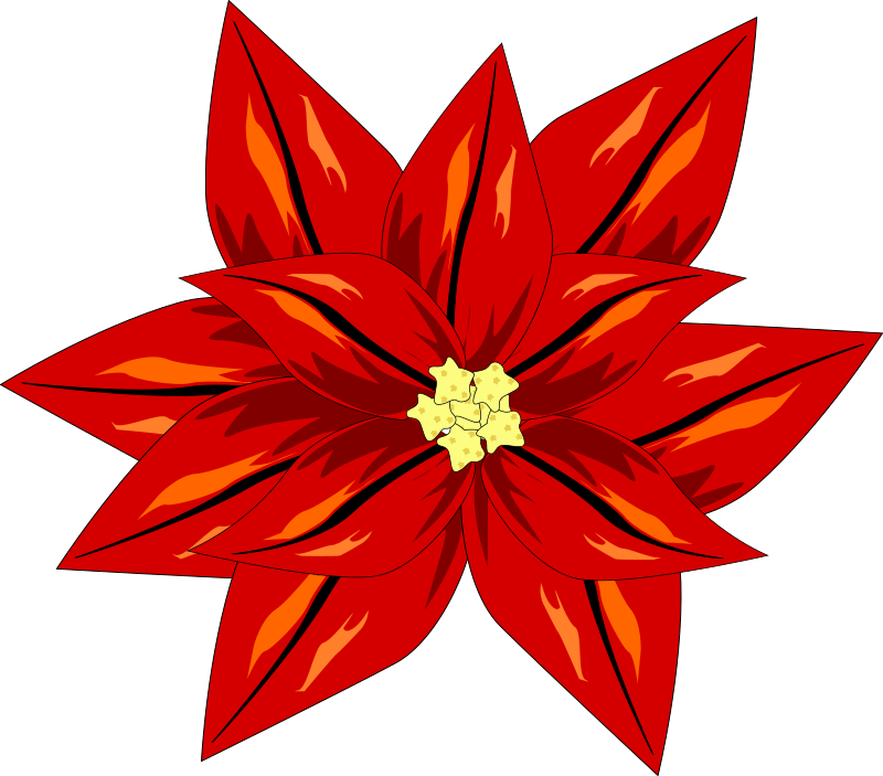 FLOR ROJA