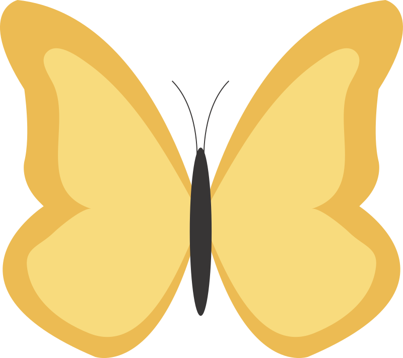 Butterfly1