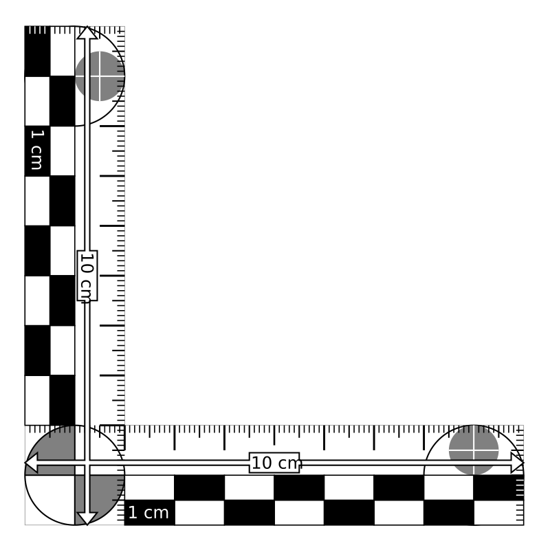 evidence ruler