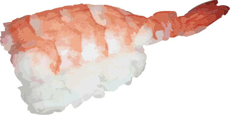 ebi nigiri sushi