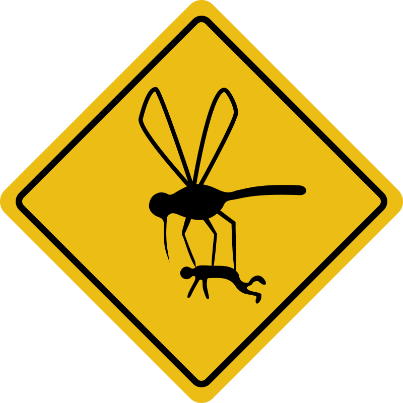 Mosquito hazard