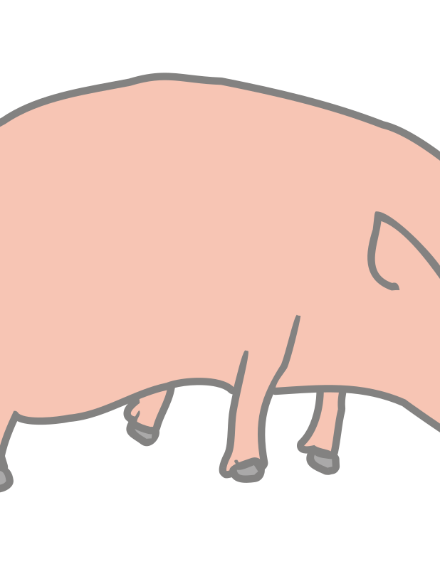 pig clipart png - photo #41