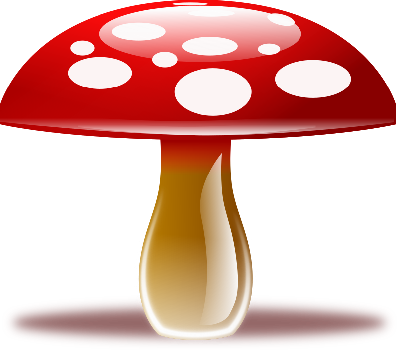 mushroom clipart free - photo #47