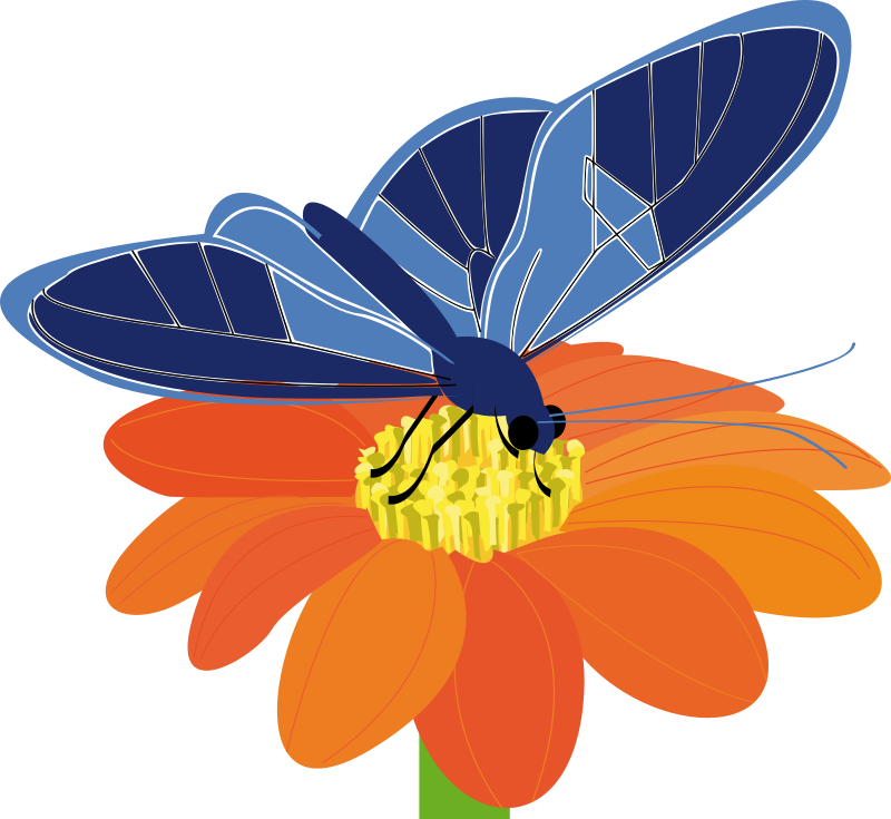 clipart of flowers and butterflies - photo #39